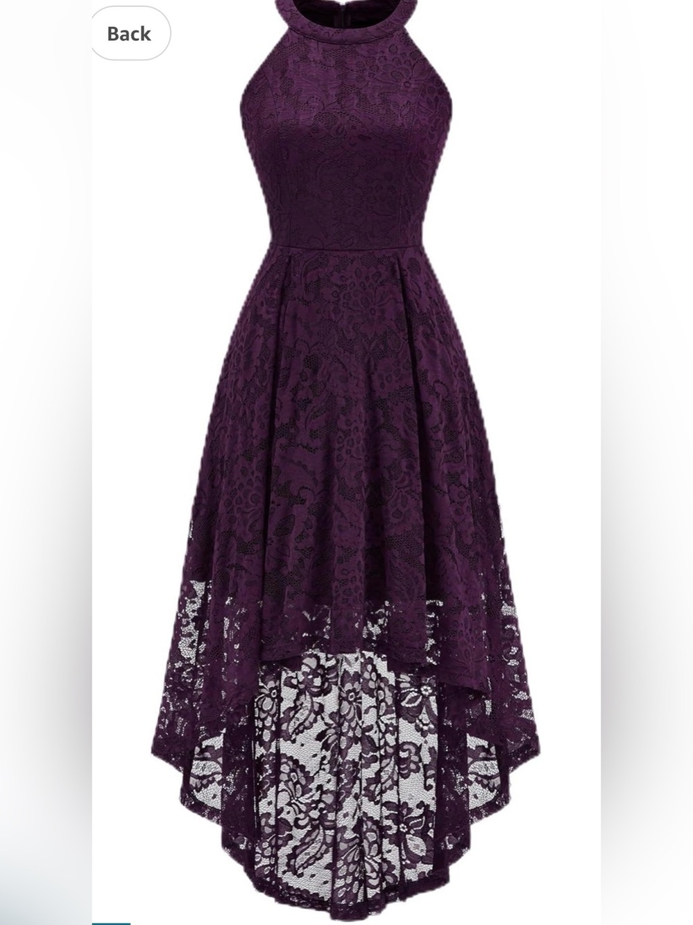 Dressystar Women Halter Lace Hi Lo Formal Dress